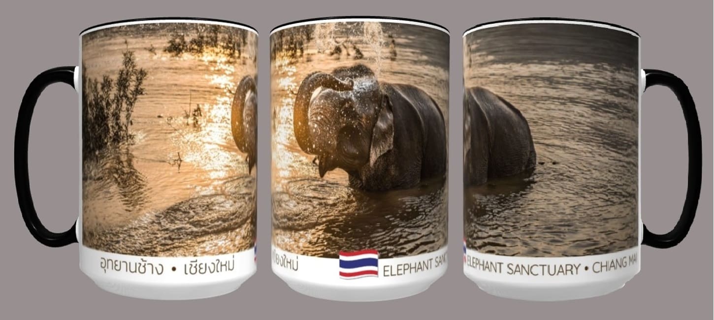 Elephant bathing in Chiang Mai river.